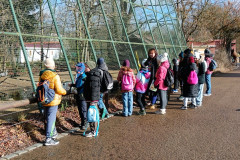 IMG_20250131_105220