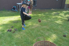 IMG_20240430_152321