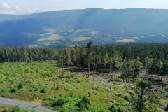IMG_20200721_102629