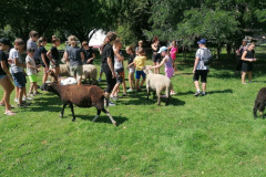 IMG_20230821_135016