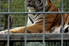 IMG-20260723-WA0018